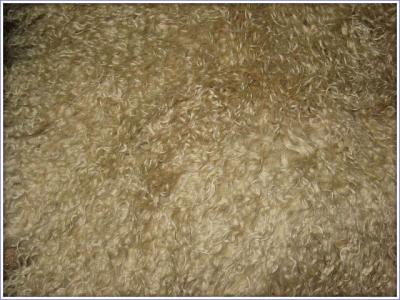 Овчина Тибетская 1шкурная бежевая 2010 г инфо 11438g.