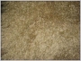 Овчина Тибетская 1шкурная бежевая 2010 г инфо 11438g.